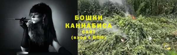 дурь Гусев
