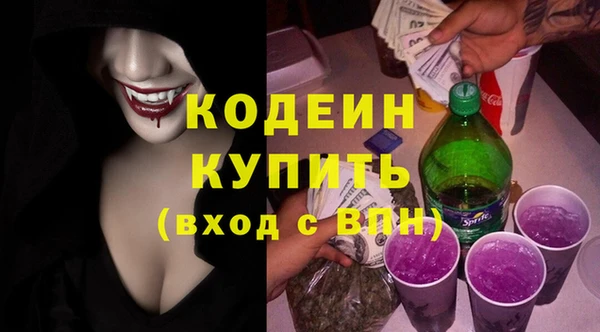 амф Гусь-Хрустальный