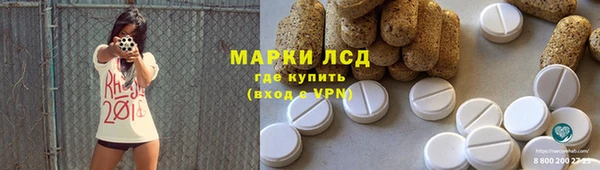 дурь Гусев