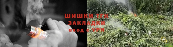 дурь Гусев