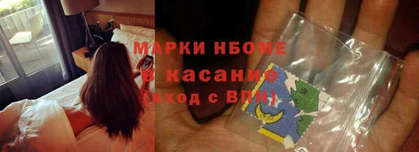 дурь Гусев