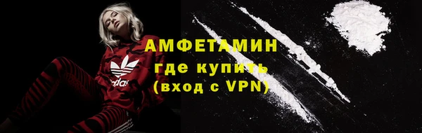 амф Гусь-Хрустальный
