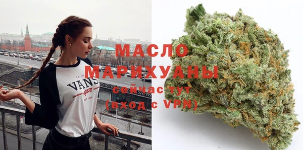 амф Гусь-Хрустальный