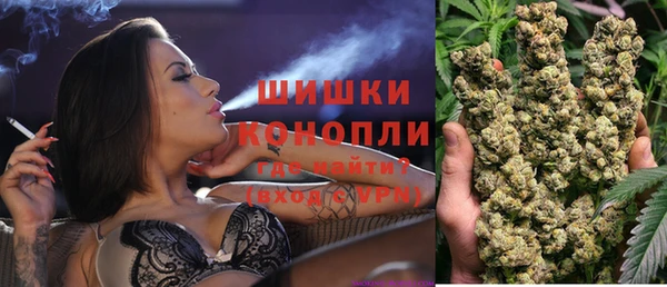 амф Гусь-Хрустальный