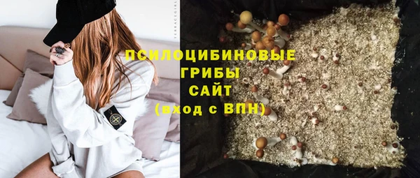а пвп мука Гусиноозёрск