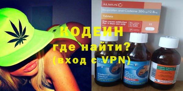 амф Гусь-Хрустальный