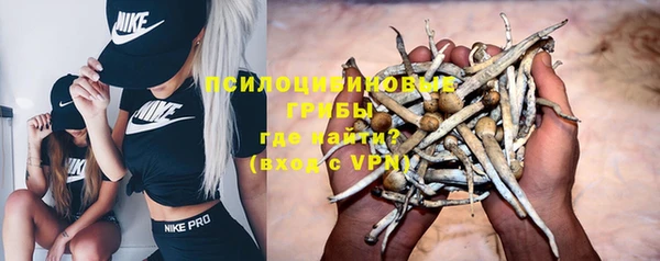 дурь Гусев