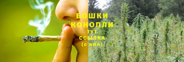 дурь Гусев