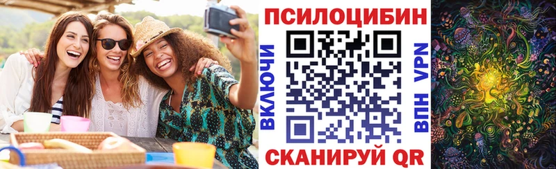 как найти   Уфа  Псилоцибиновые грибы Psilocybe 